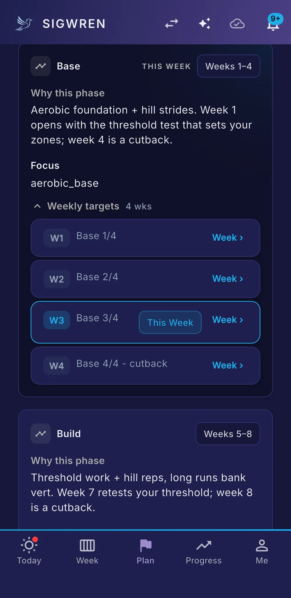 A training phase in the plan — why this phase exists, the weekly targets it sets, and the zones each session runs in.