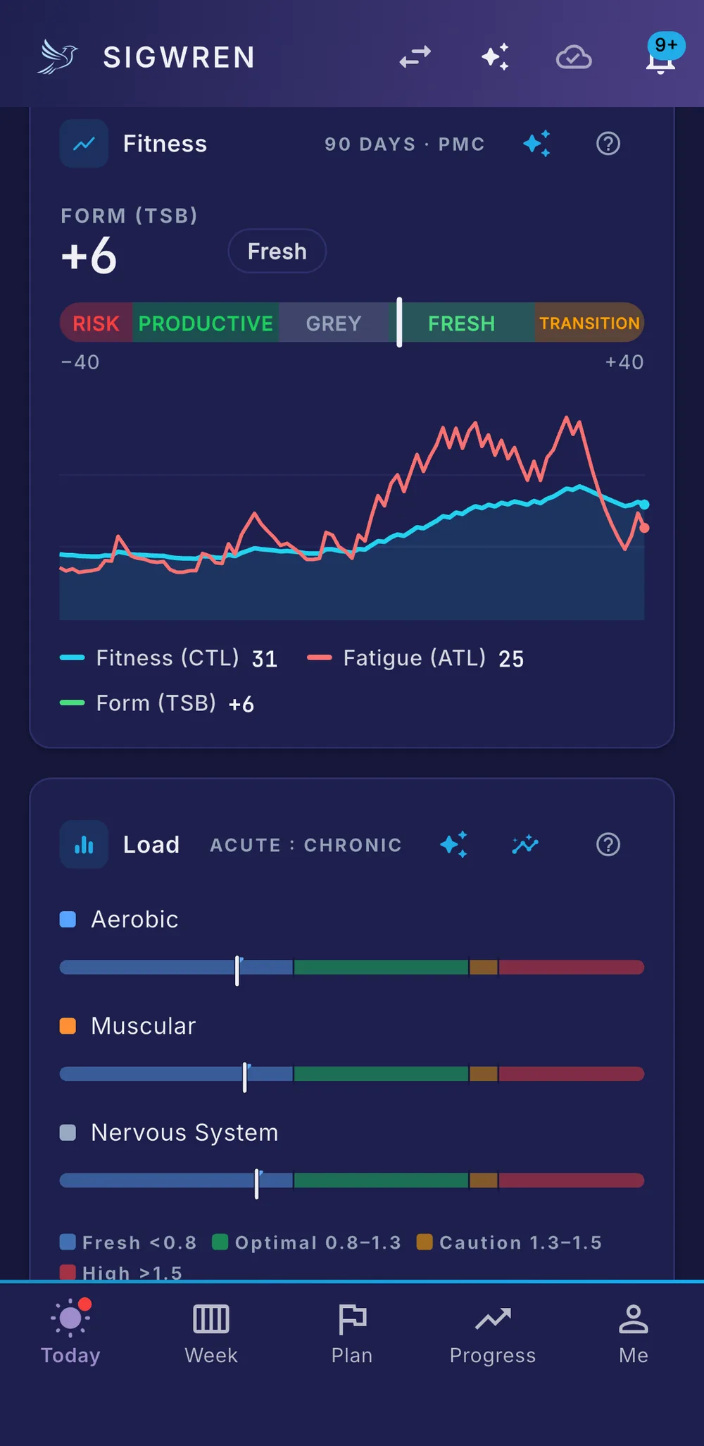 Training load performance charts